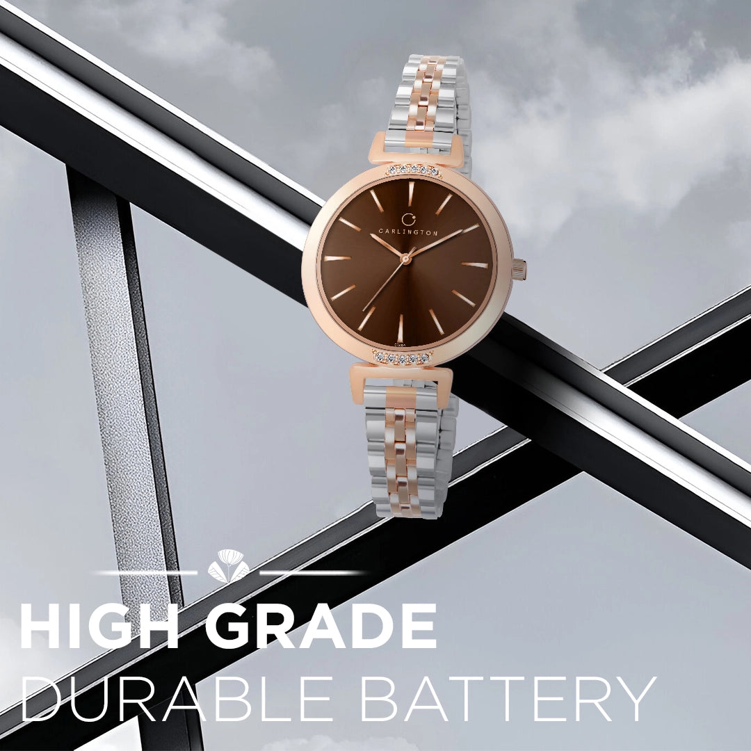 Iconic 2034 Brown Analog Womens Watch