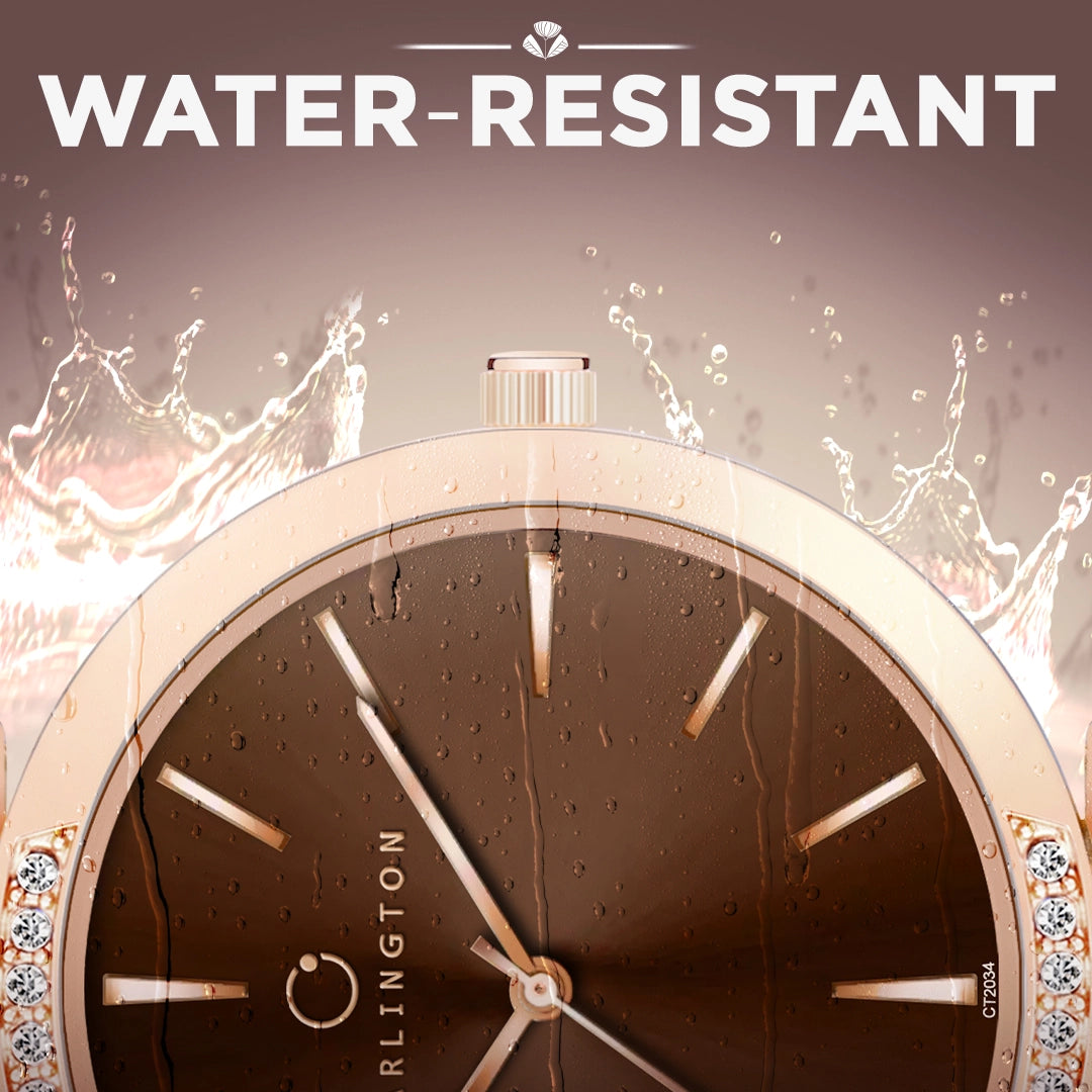 Iconic 2034 Brown Analog Womens Watch