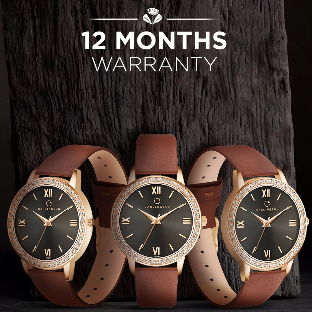 Iconic 2042 Brown Analog Womens Watch