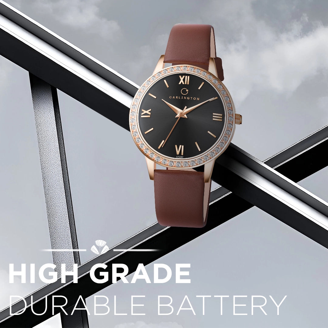 Iconic 2042 Brown Analog Womens Watch