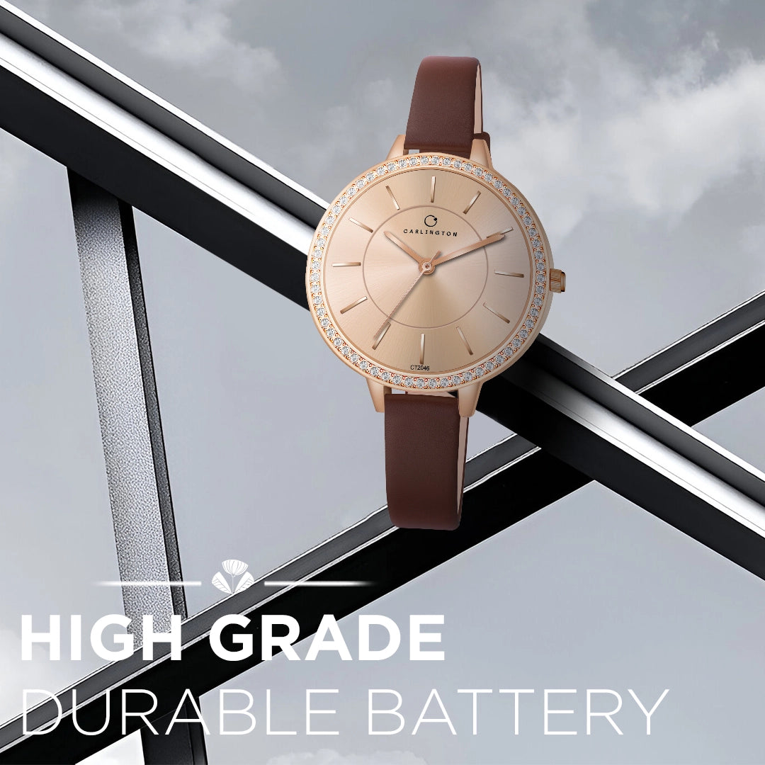 Iconic 2046 Brown Analog Womens Watch