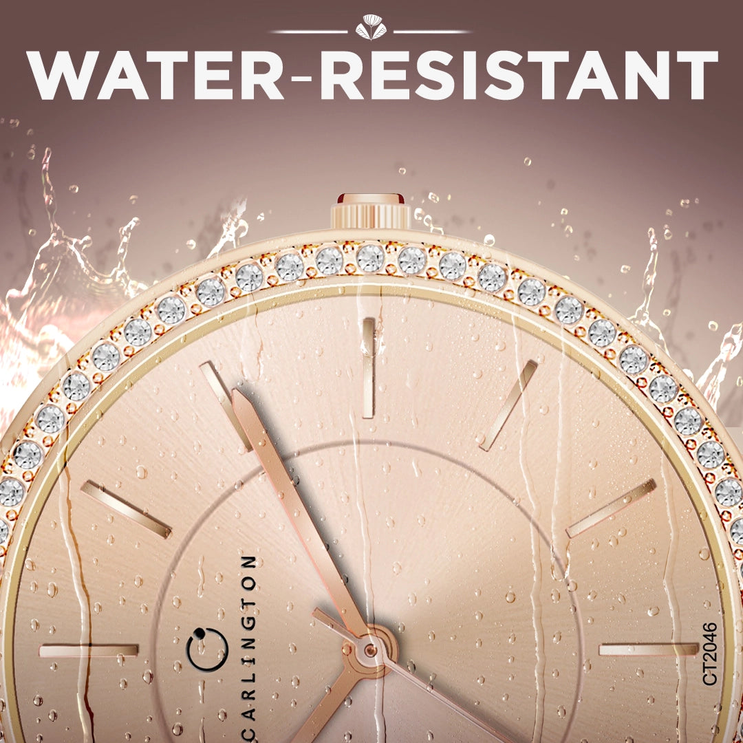 Iconic 2046 Brown Analog Womens Watch