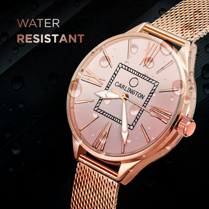 Carlington Elite Ladies Self Adjustable Mesh Strap Water Resistant Analog Watch - For Women CT2015